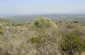 Grundstck Insel Kreta
