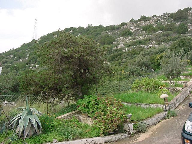 Grundstck bei Agios Nikolaos Insel Kreta