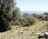 Grundstck bei Agios Nikolaos Insel Kreta