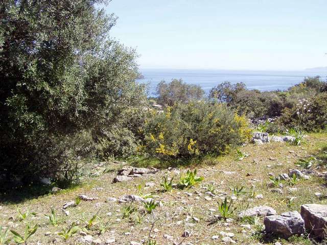 Grundstck bei Agios Nikolaos Insel Kreta