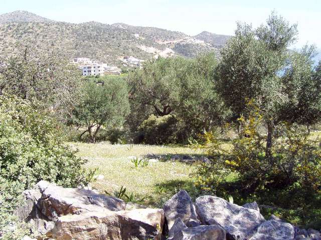 Grundstck bei Agios Nikolaos Insel Kreta
