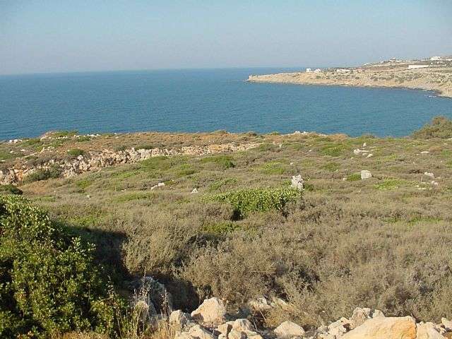 Grundstck bei  Rethymno Insel Kreta