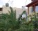Apartment-Wohnung  stlich von Agios Nikolaos (Insel Kreta)