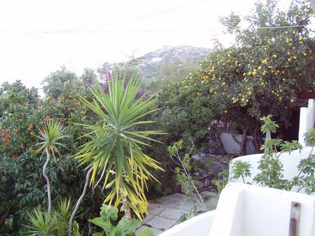 Der Garten