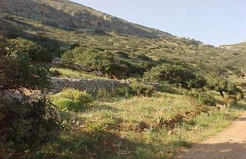 Land Kreta, Land auf Kreta