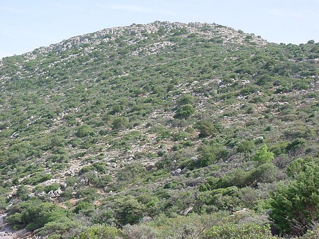 Grundstck auf Agios Nikolaos (Insel Kreta)