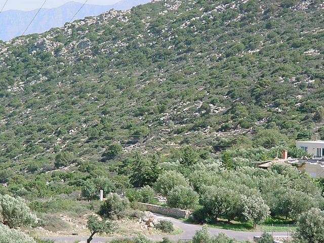 Grundstck auf Agios Nikolaos (Insel Kreta)
